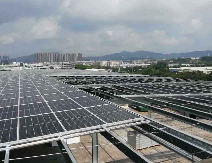 ���̘I���ꖹ���r��